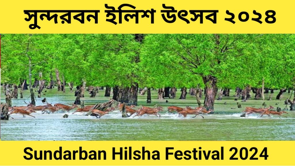 Sundarban Hilsa Festival 2024