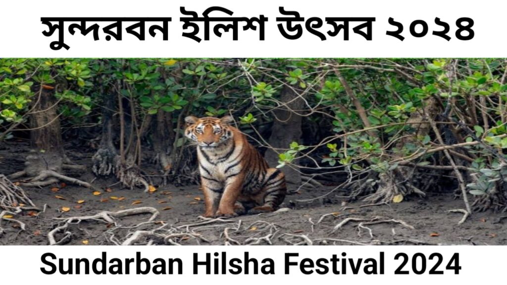 Sundarban Hilsa Festival 2024