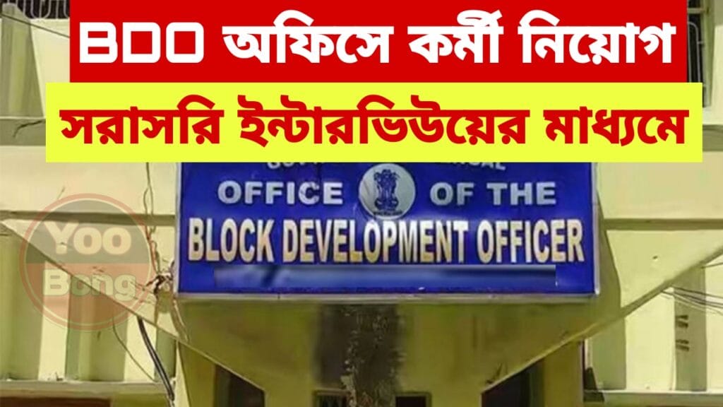 BDO Office New Recruitment 2024