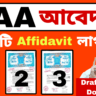 CAA Affidavit Format 2025